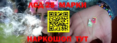 индика Бийск