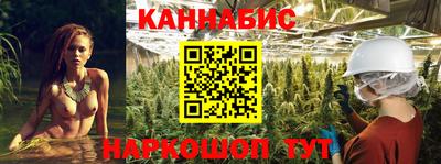 индика Бийск